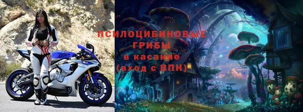 ешки Алексеевка