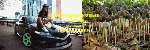 соль курить ск Михайловка